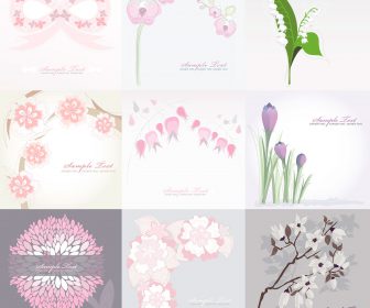 Floral greeting cards with white background vector