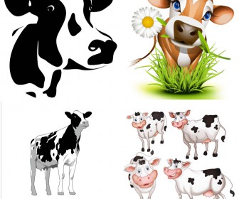 Cow templates vector