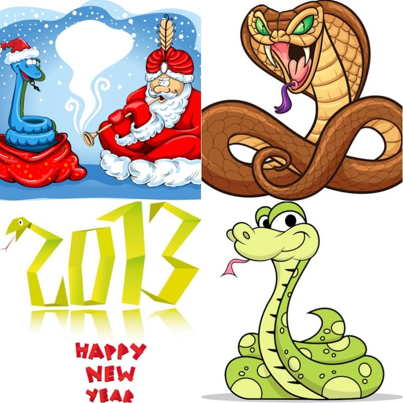 Year of snake 2013 vector