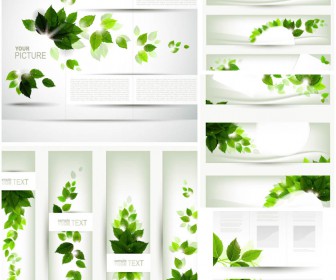 Banners with natural green leaves vector