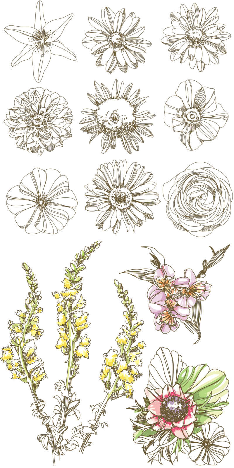 Flowers vector