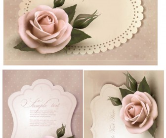 Invitations decorated with rose vector
