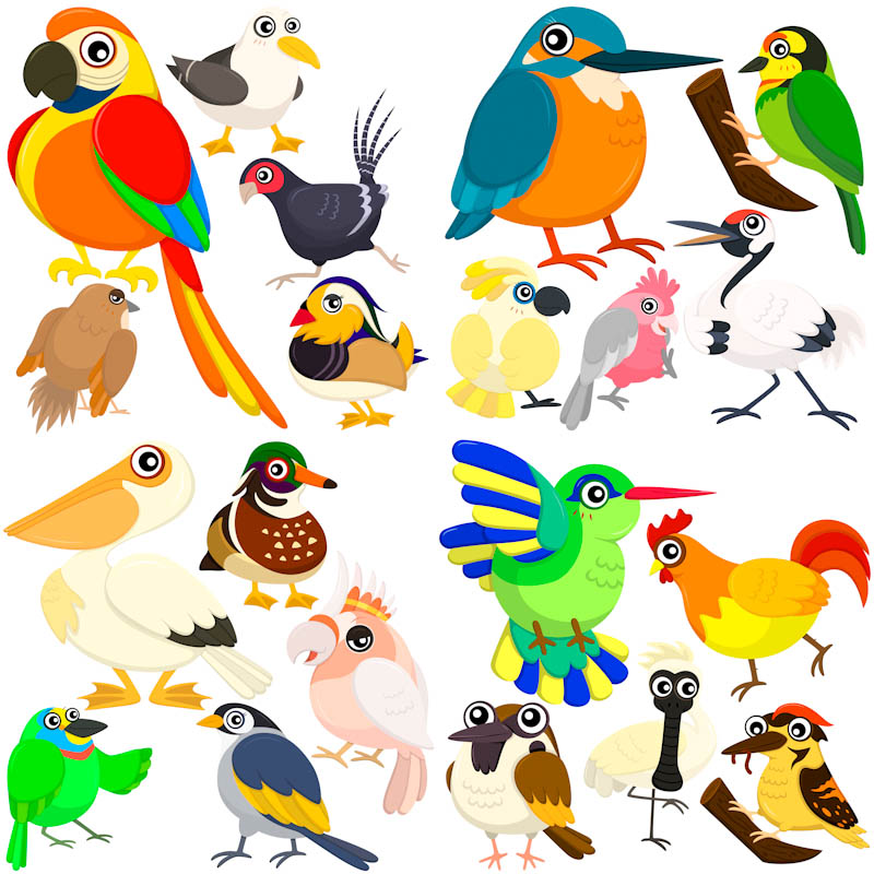 Пташки хср. Изображение птички для детей. Птички картинки для детей цветные. Птицы мультяшные. Птичка рисунок для детей.