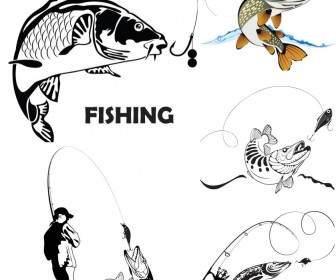 Fishing for spinning vector
