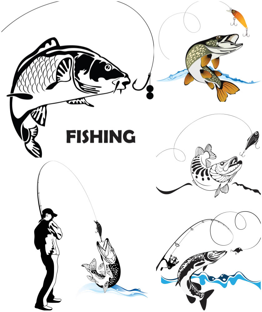 Fishing for spinning vector - free download, Clipart ...