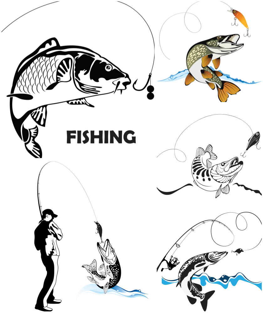 Free Free Fishing Svg Free Download 741 SVG PNG EPS DXF File