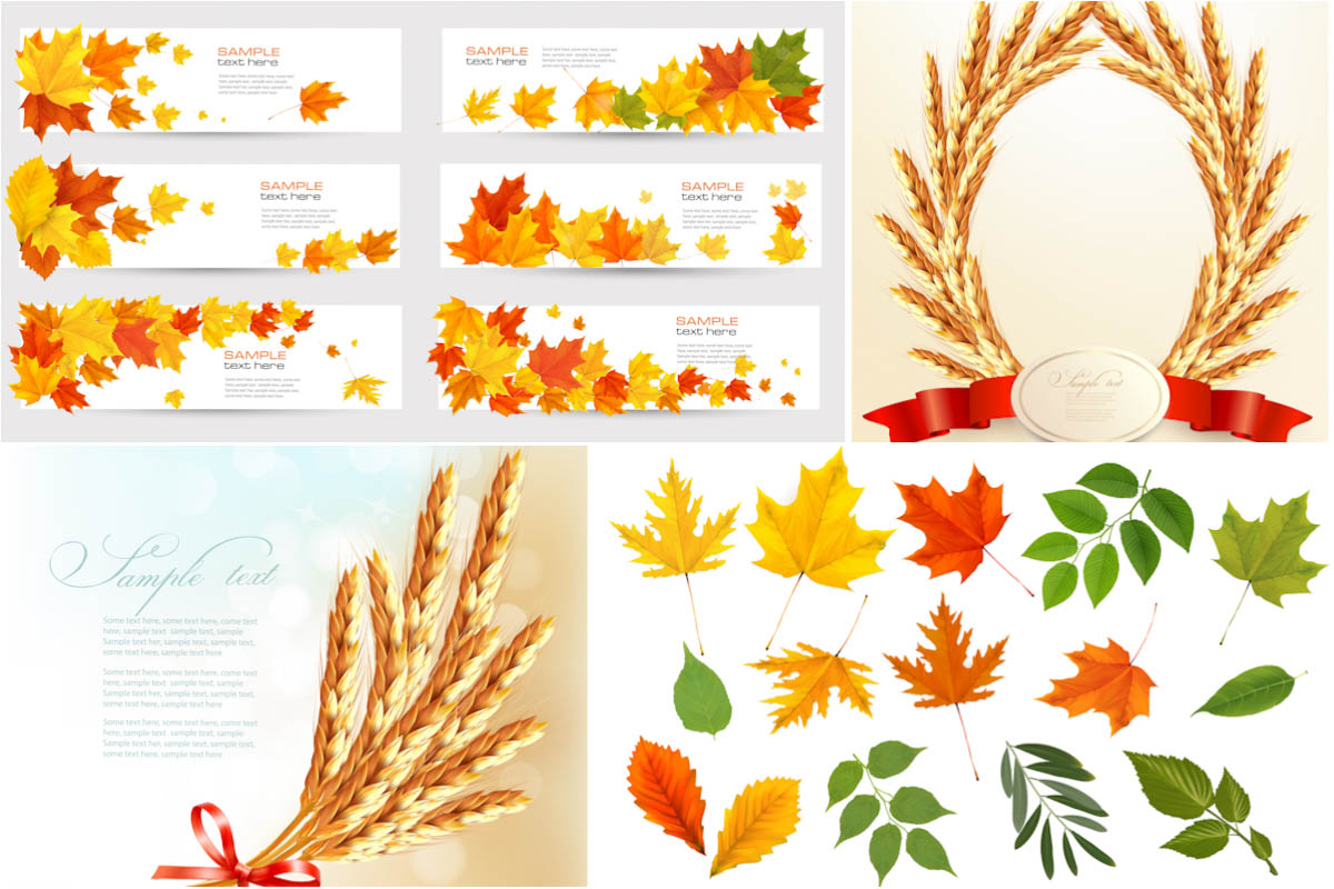 Autumn cards and banners with colored autumn leaves and place for text