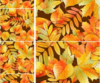 Autumn (fall) backgrounds filled with yellow and red leaves vector