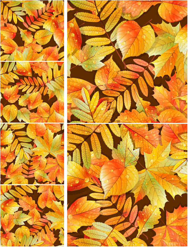 Autumn (fall) backgrounds filled with yellow and red leaves