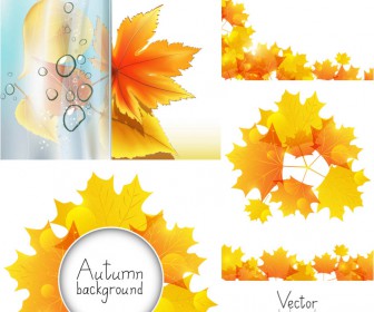 Autumn backgrounds with yellow leaves vector