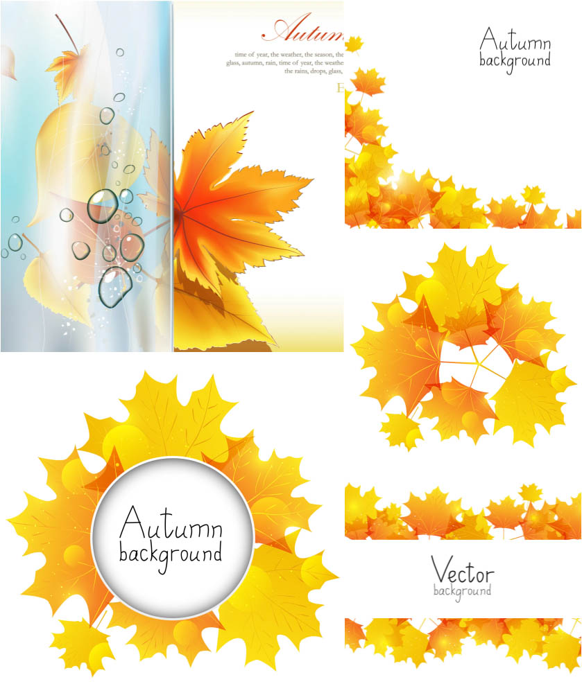 Autumn (fall) backgrounds with half-submerged autumn leaves