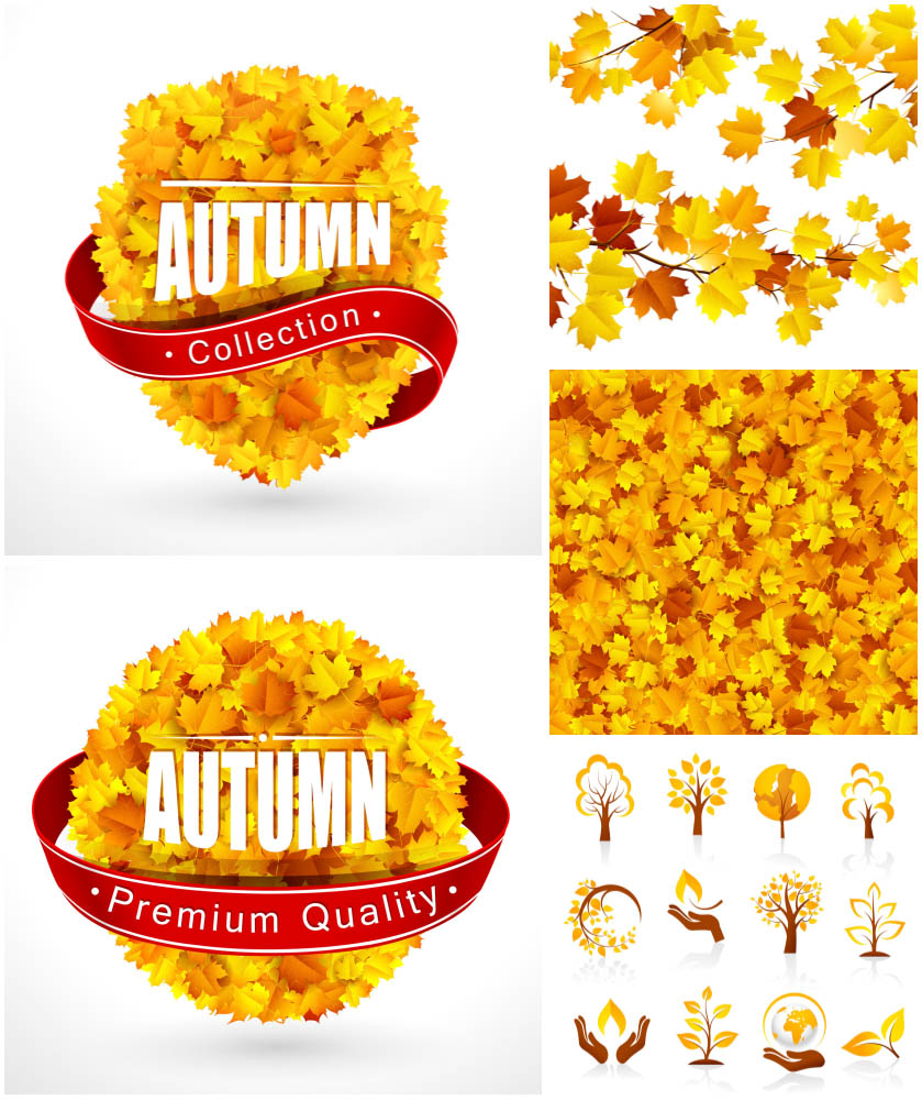 Autumn (fall) label Autumn leaves backgrounds Autumn icons