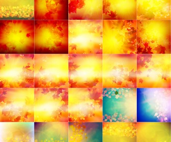 Beautiful and warm autumn backgrounds with leaves fall backgrounds with reflection from the sun