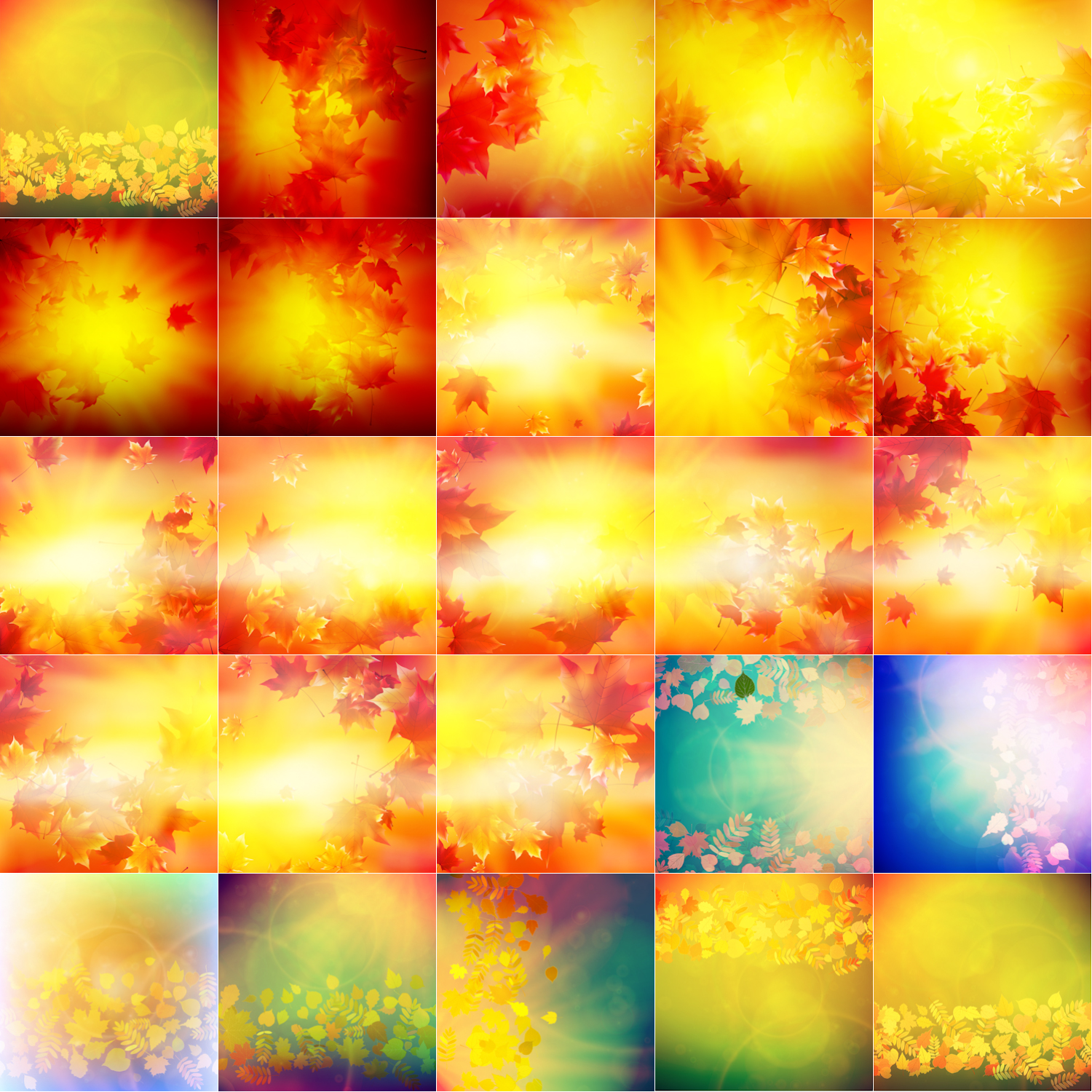 Beautiful and warm autumn backgrounds with leaves fall backgrounds with reflection from the sun