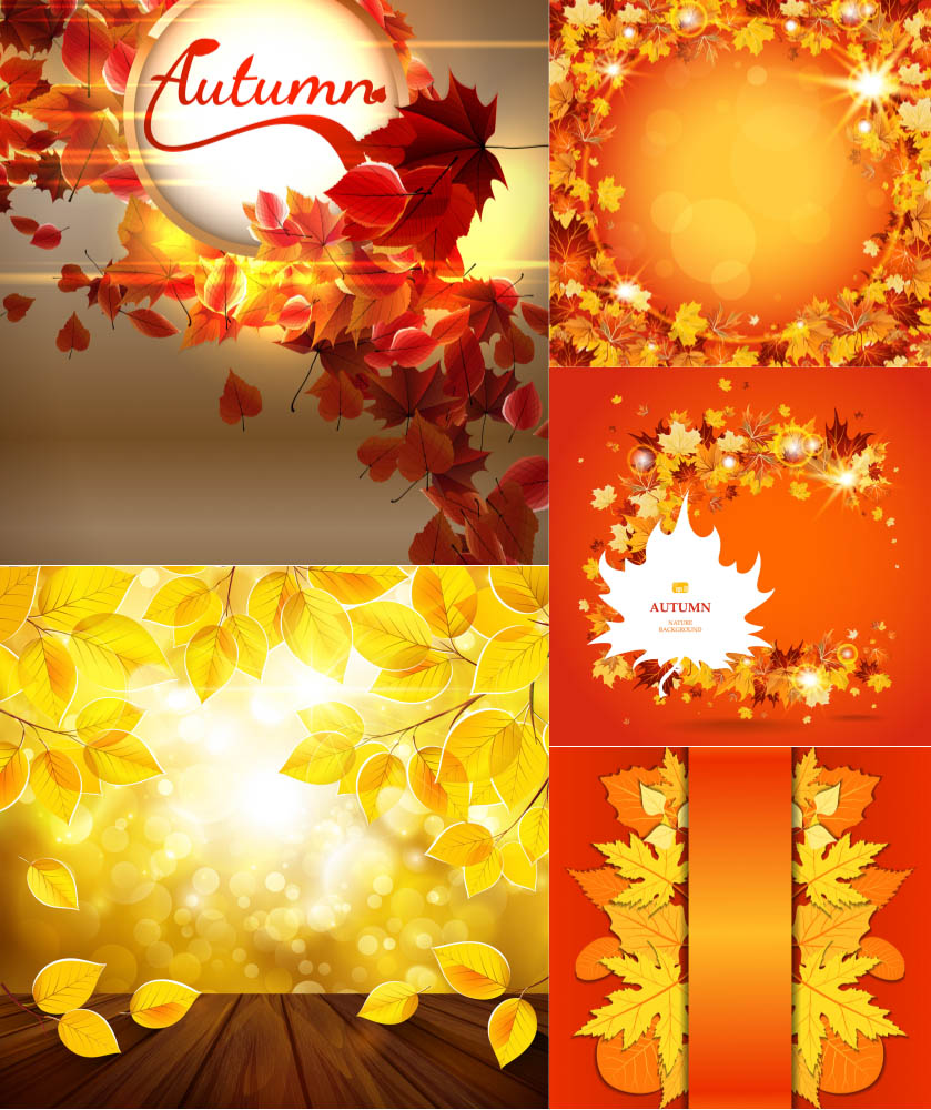 Beautiful autumn (fall) frame and backgrounds with red leaves
