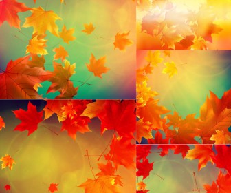 Beautiful soft fall backgrounds with falling leaves