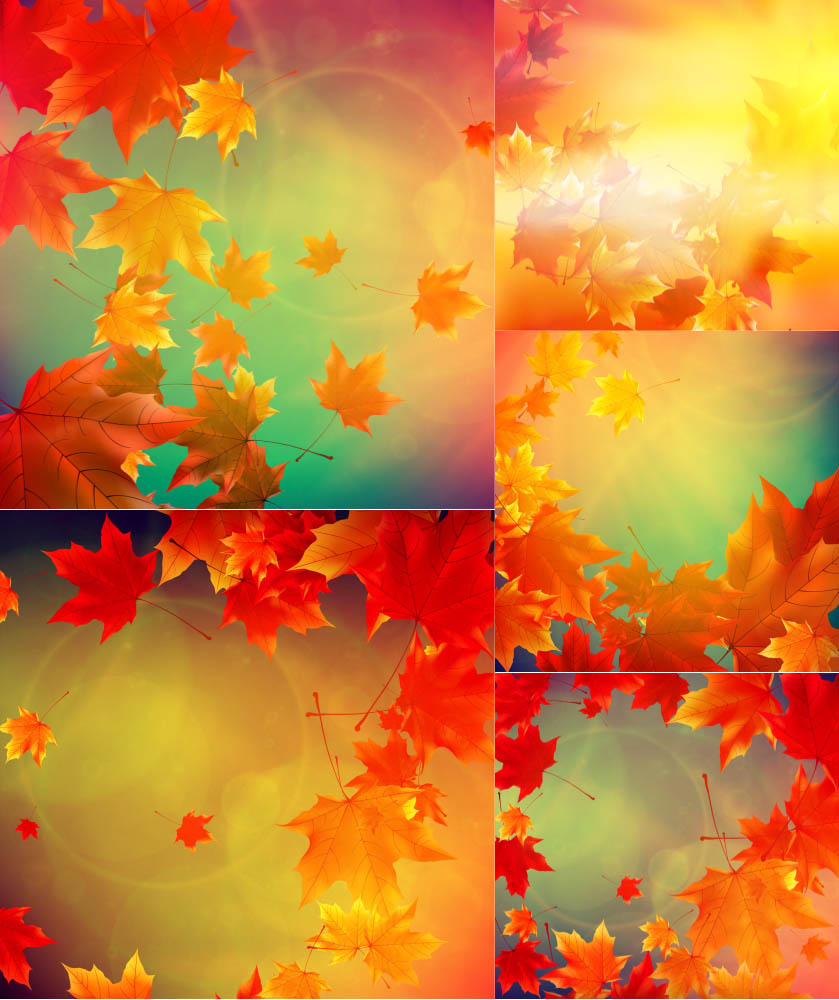 Beautiful soft fall backgrounds with falling leaves