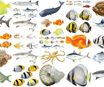 Fish and sea creatures vectors