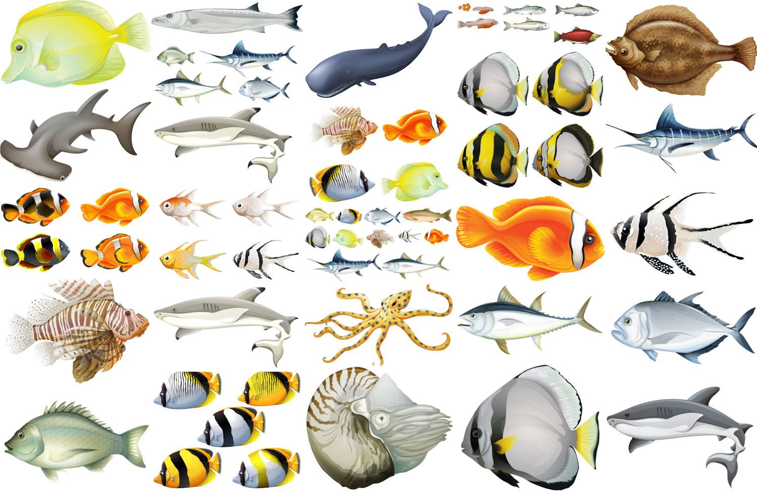 Fish and sea creatures vectors