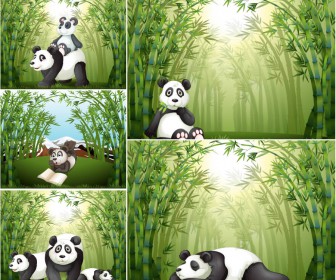 Panda in the green jungle