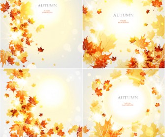 Professional live beautiful autumn (fall) backgrounds with yellow and red shiny leaves