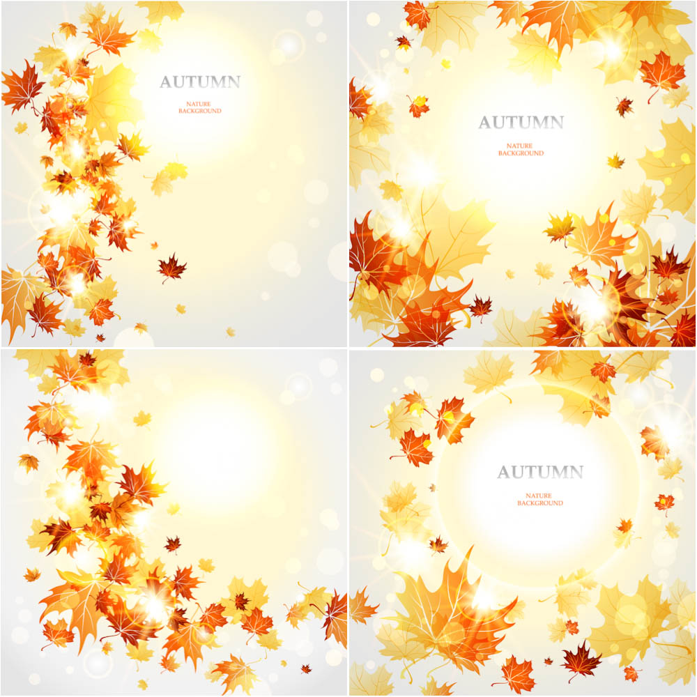 Professional live beautiful autumn (fall) backgrounds with yellow and red shiny leaves