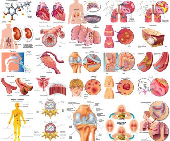 Illustrations of Human anatomy, disease, medical topics vector