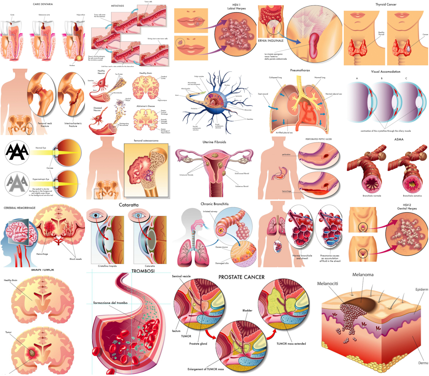 Internal organs, chronic diseases, Medical