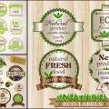 Eco organic food labels vector