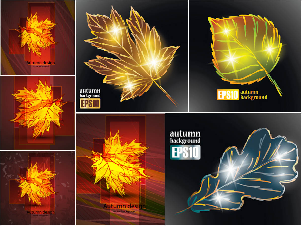 Glowing autumn leaf backgrounds vector