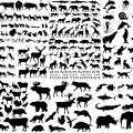 Animals silhouettes large collections vector