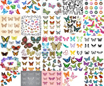 The butterfly templates unbelievable big collection vector
