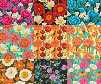 Floral seamless patterns vector