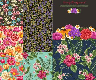 Spring floral seamless patterns vector