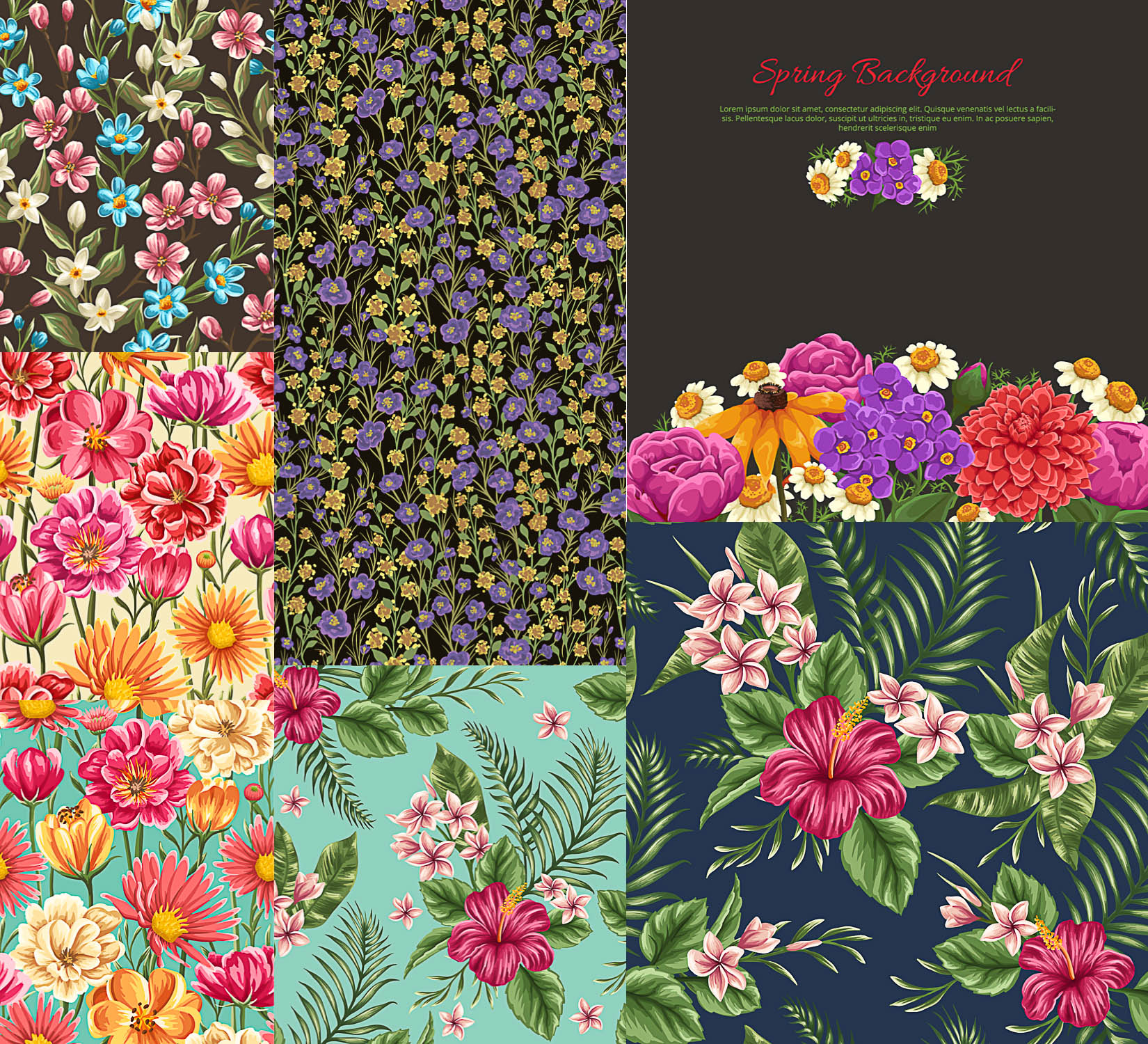 Spring floral seamless patterns vector