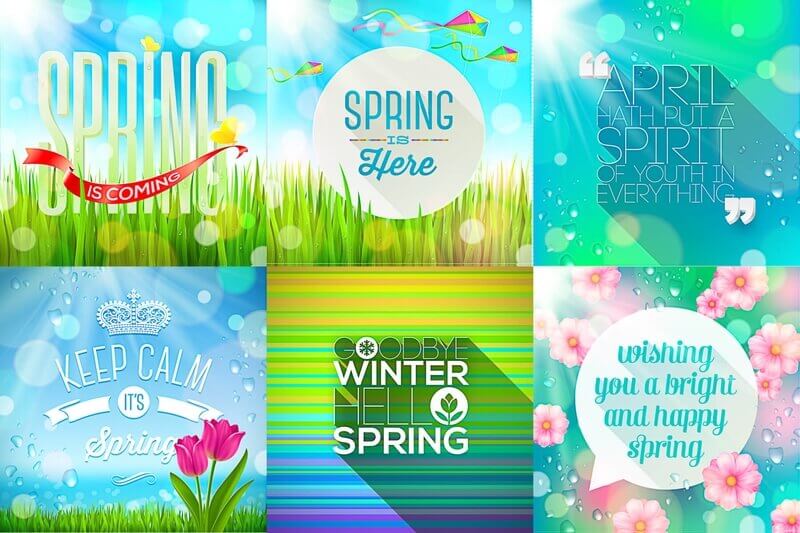 Spring backgrounds with flowers and sunshine vector