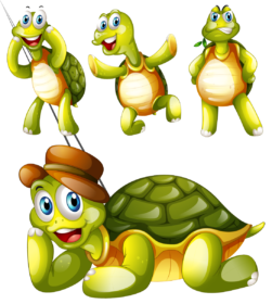 Cartoon tortoise vector-ai