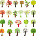 trees vector set