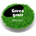 Grass vector clip art
