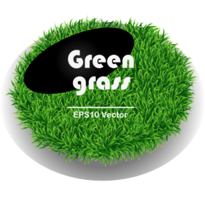 Grass vector clip art