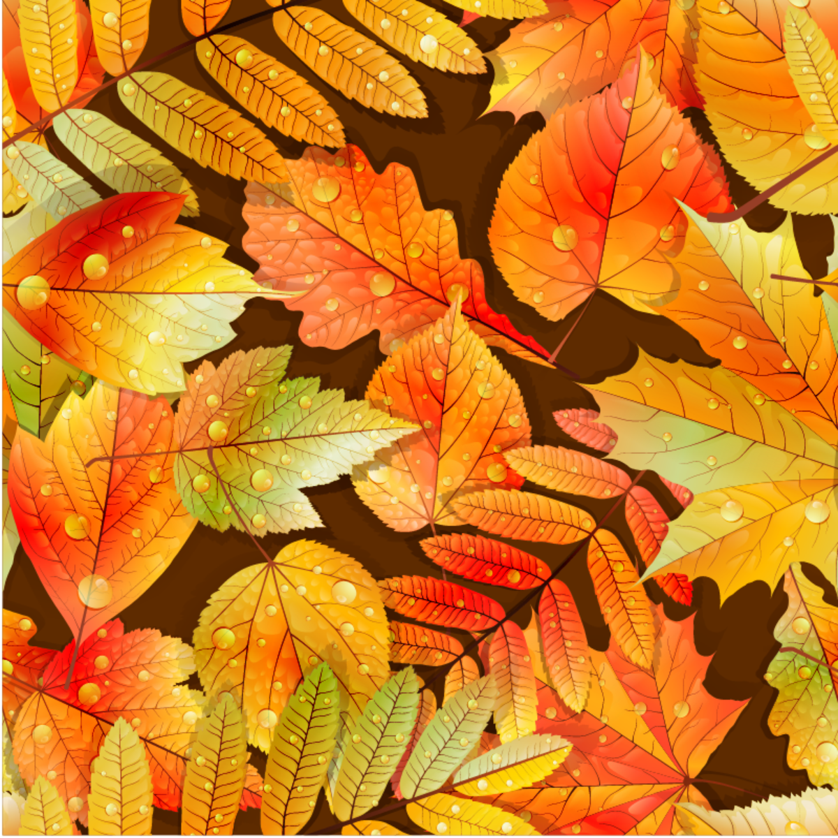 Fall Foliage Backgrounds - Vector Graphics