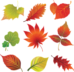 Fall leaves clip art vector