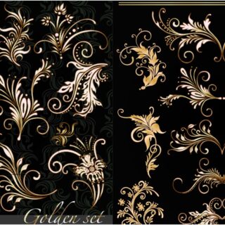 Golden floral ornaments vector