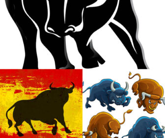 Various bulls vector