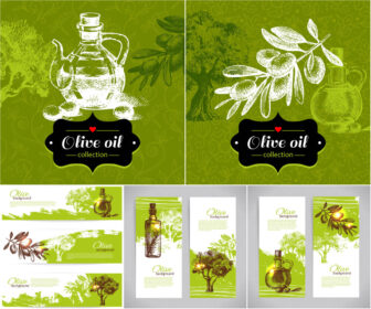 Olive oil vector templates