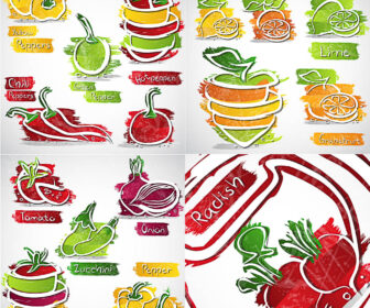 Creative fruits and vegetables illustrations vector